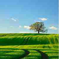 网﻿站​收‌录‌助​手﻿